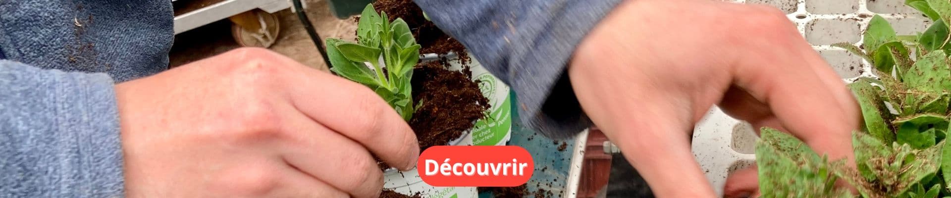 Découvrez nos Guides de Conseils