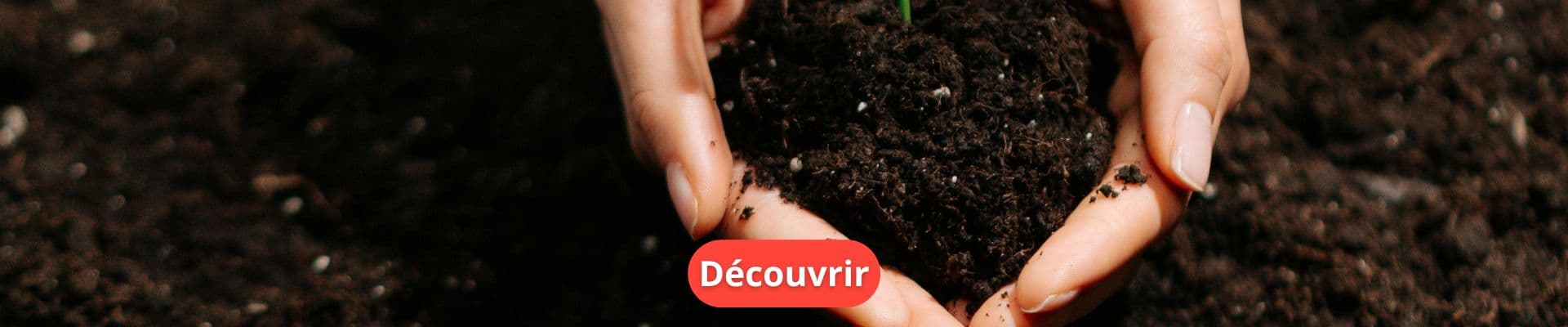 Tout savoir sur le choix du terreau